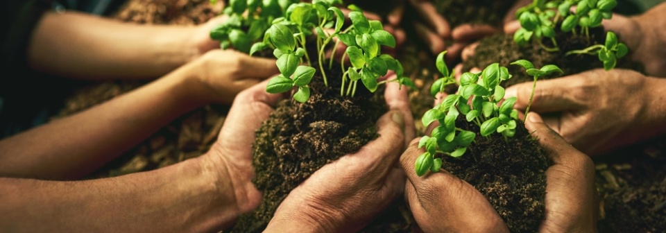 sonicare prestige 9900