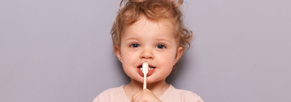 sonicare prestige 9900