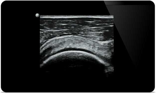 Răspundeţi rapid cu ajutorul imaginilor &icirc;ntregului corp