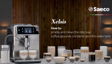 curăţarea sistemului de lapte