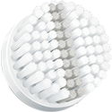 Exfoliere